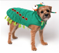 Halloween Costume - Caterpillar Costume - Dog Costume