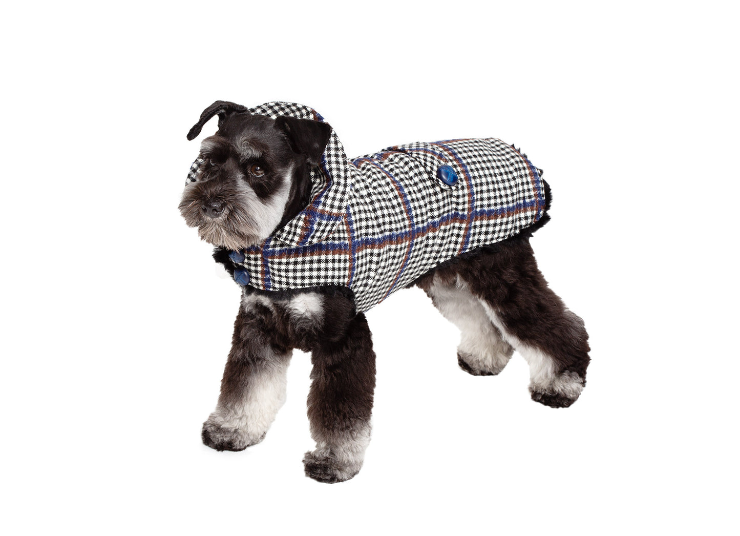 Dog Carrier - Winter - Blue, Brown & Black Wool Plaid Carrier