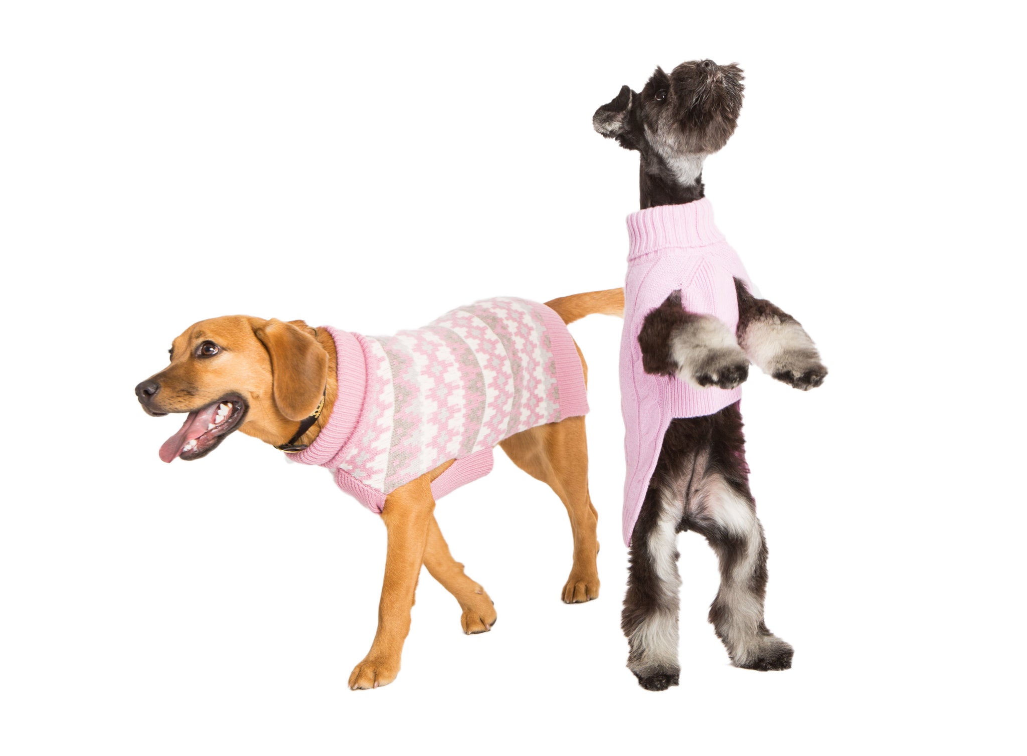 Cashmere Dog Sweater - Geometric Pink
