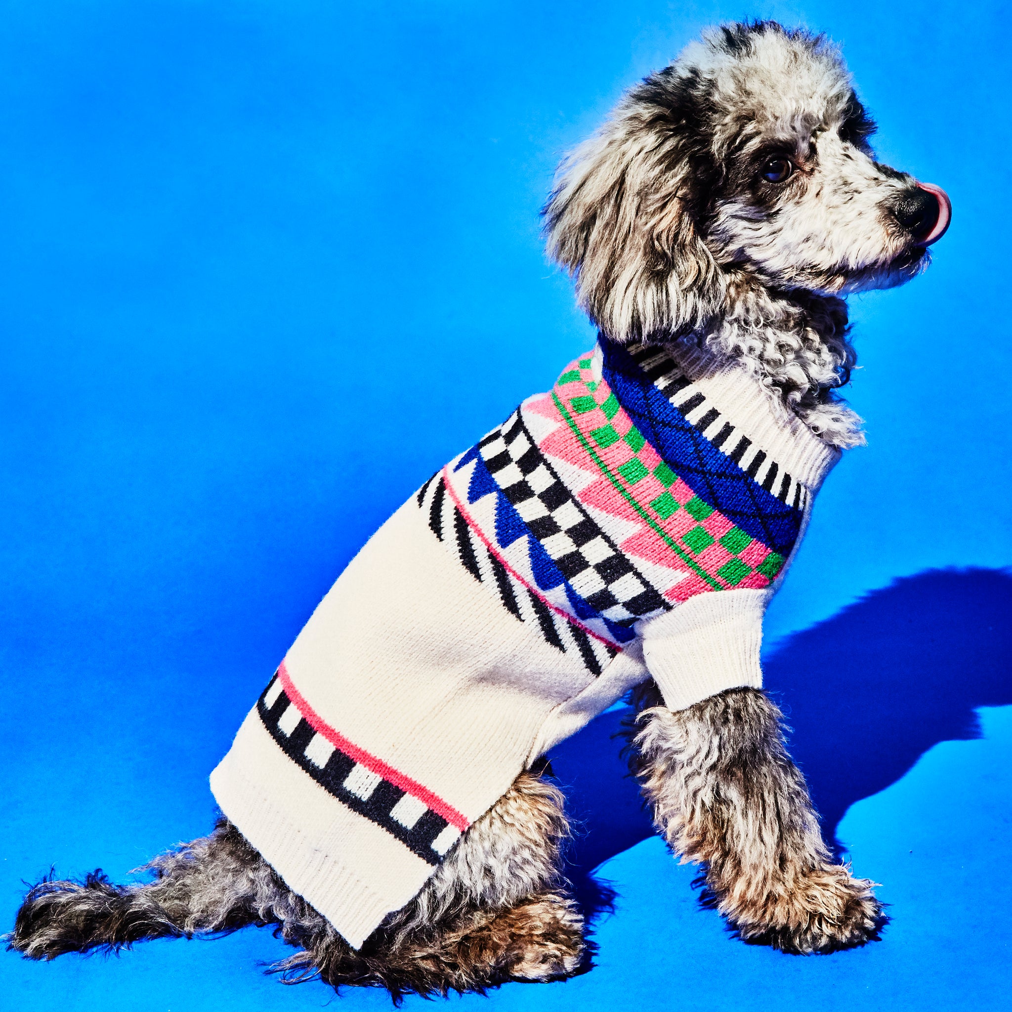 Fairisle White Sweater | Dog Sweater