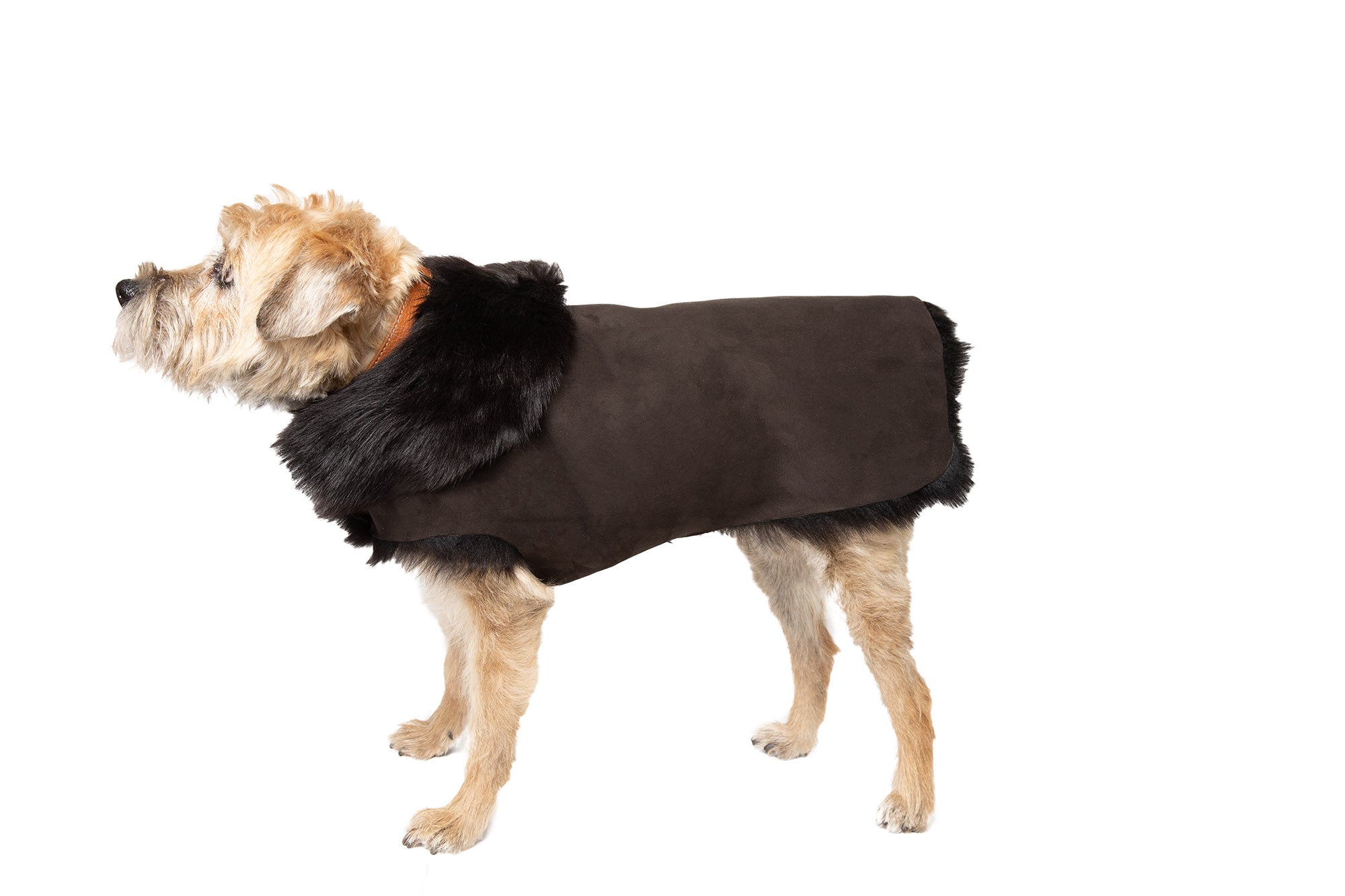 Hand-Cut Shearling Long Fur Dog Coat - Brown