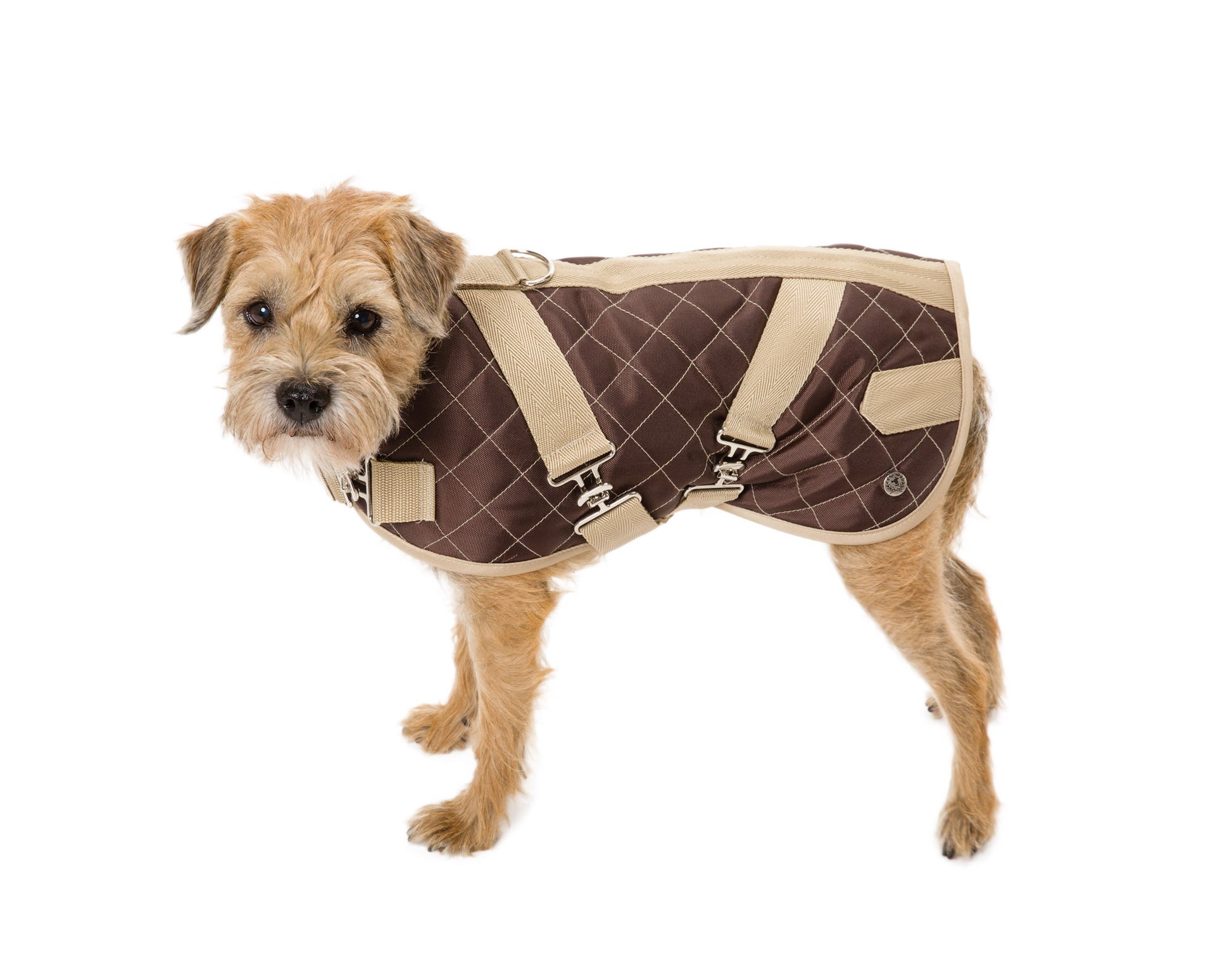 Dog Coat - Navy or Brown Quilted Horse Blanket | CanineStyles est 1959 Brown/Tan / 24" Dog Coat - Navy or Brown Quilted Horse Blanket | CanineStyles est 1959 Brown/Tan / 24"