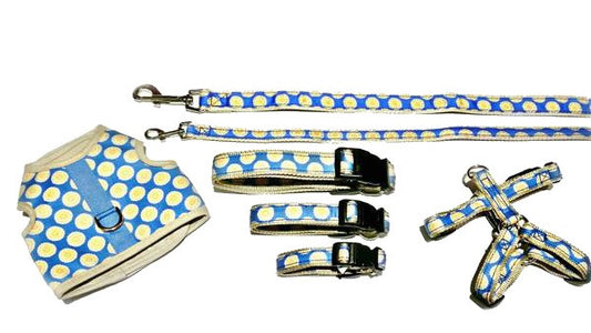CS Designer Collection - Dog Harnesses & Leads - Blue Follard