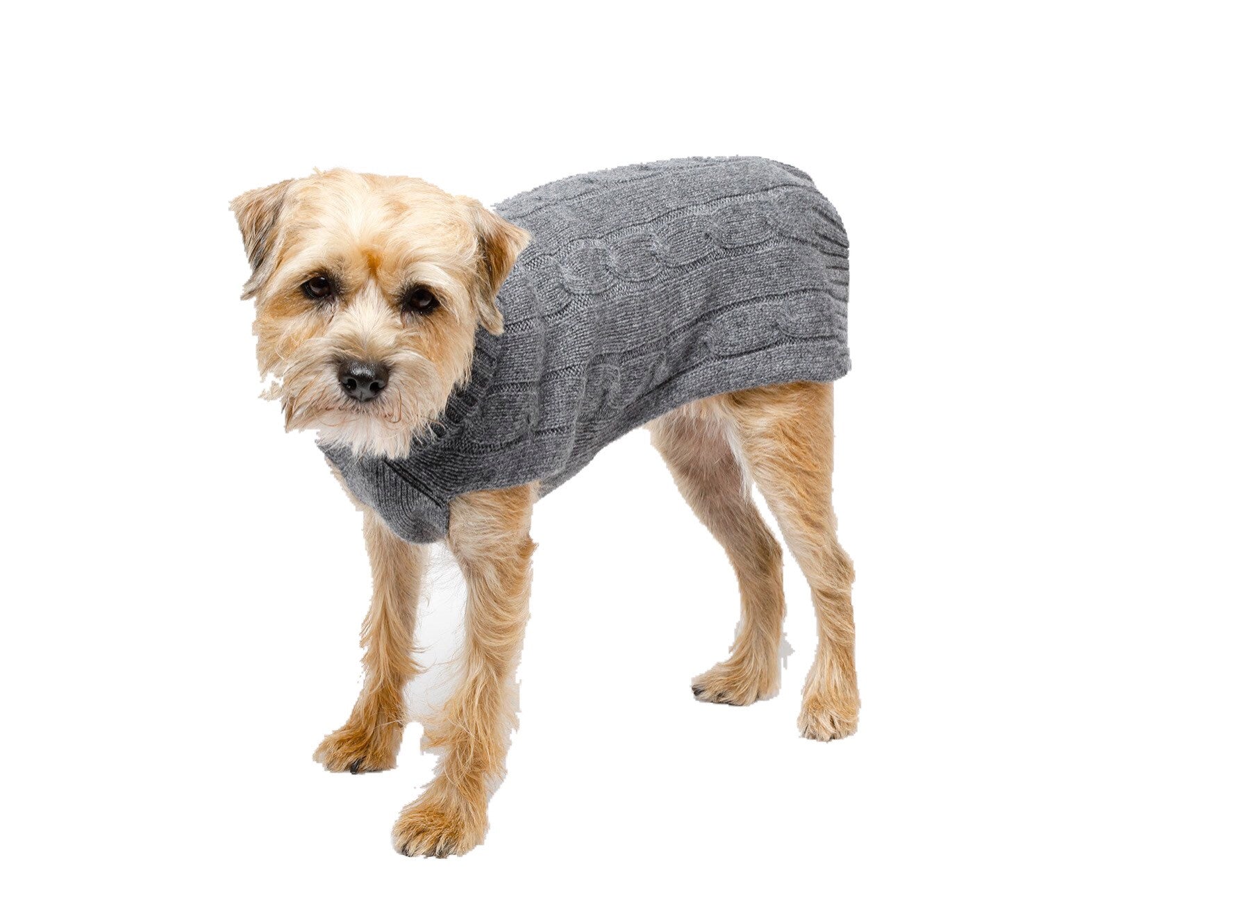 Cashmere Dog Solid Sweater - Gray, Light Pink & Baby Blue
