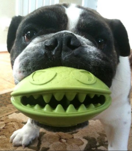 Monster Mouth - Dog Toy