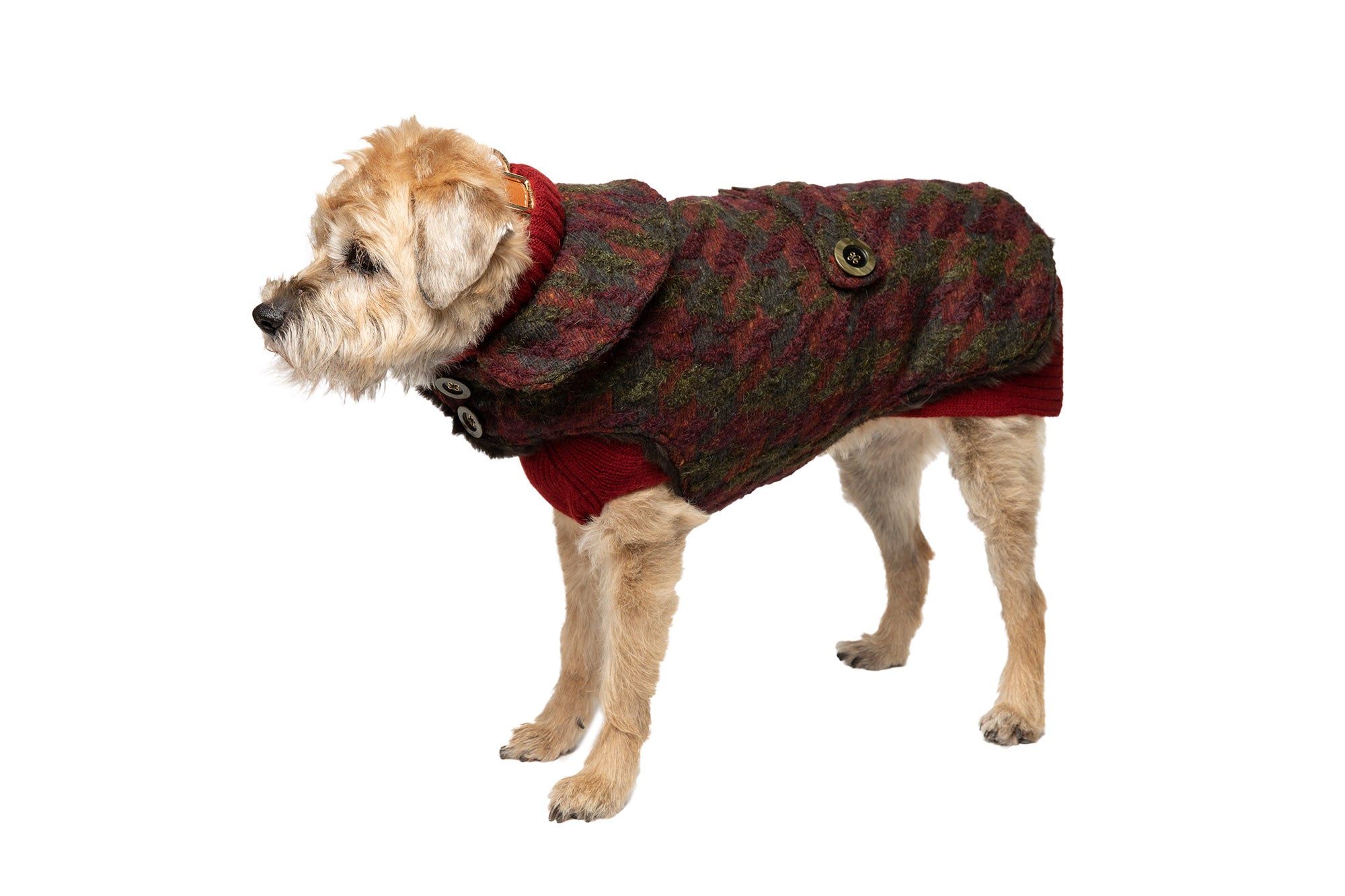 Dog Carrier - Winter - Green/Burgundy Mohair Multi Color