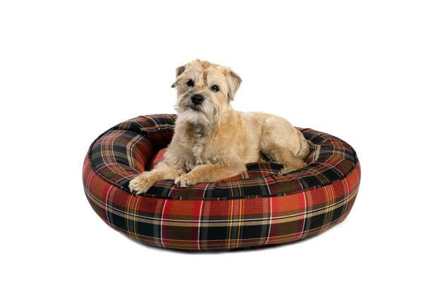 Canine Styles - Cotton Canvas - Maclachlan Red Plaid