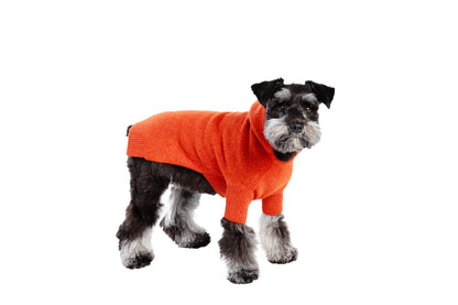 Cashmere Hooded Sweater -  Orange & Green
