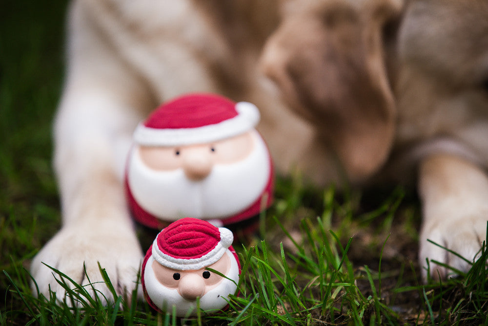 Holiday Latex Santa - Dog Toy