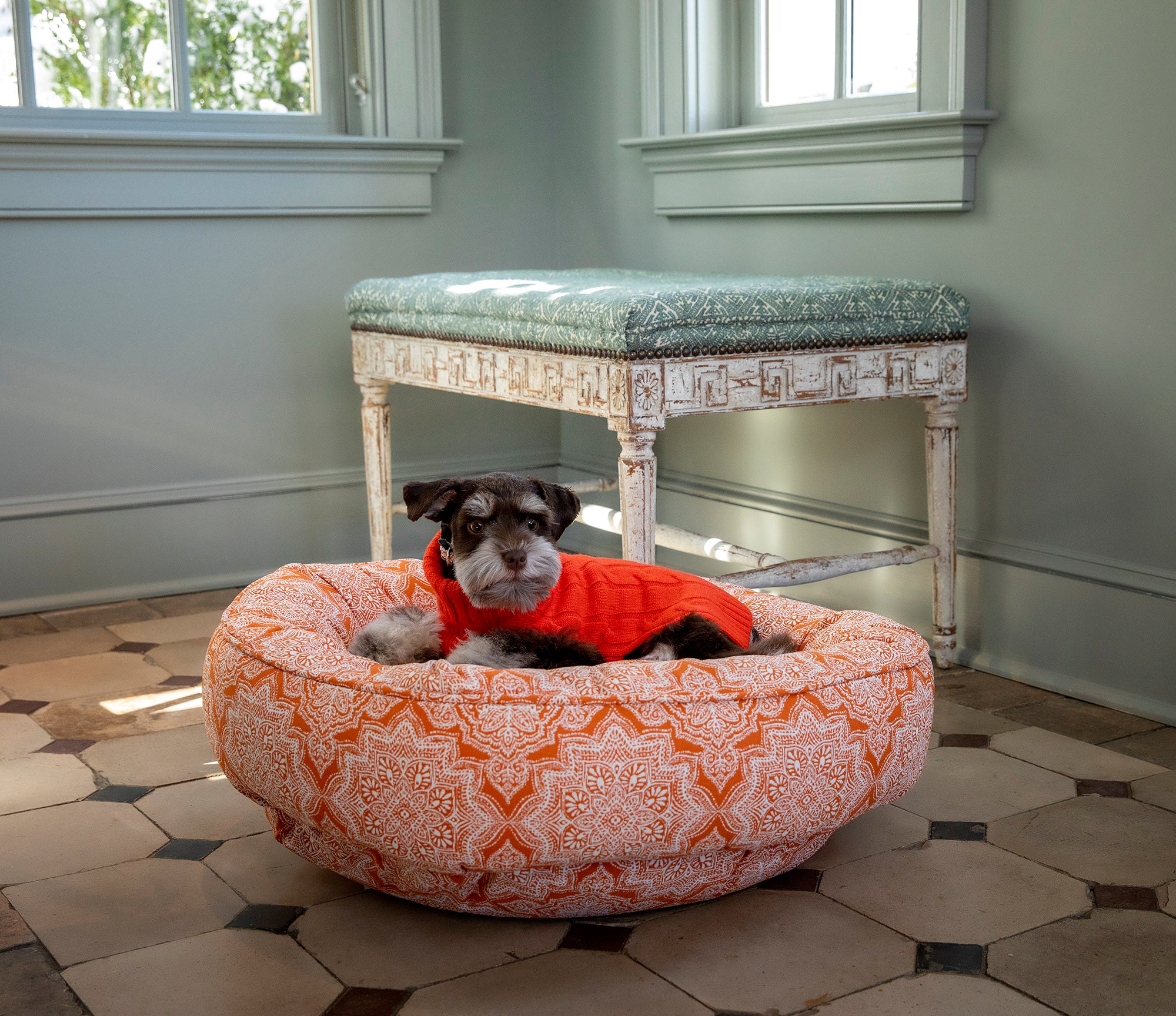 Canine Styles - Cotton Canvas - Curacao Orange - Dog Bed
