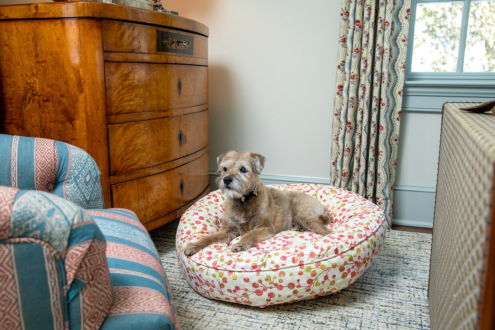Canine Styles - Sherbert - Dog Bed