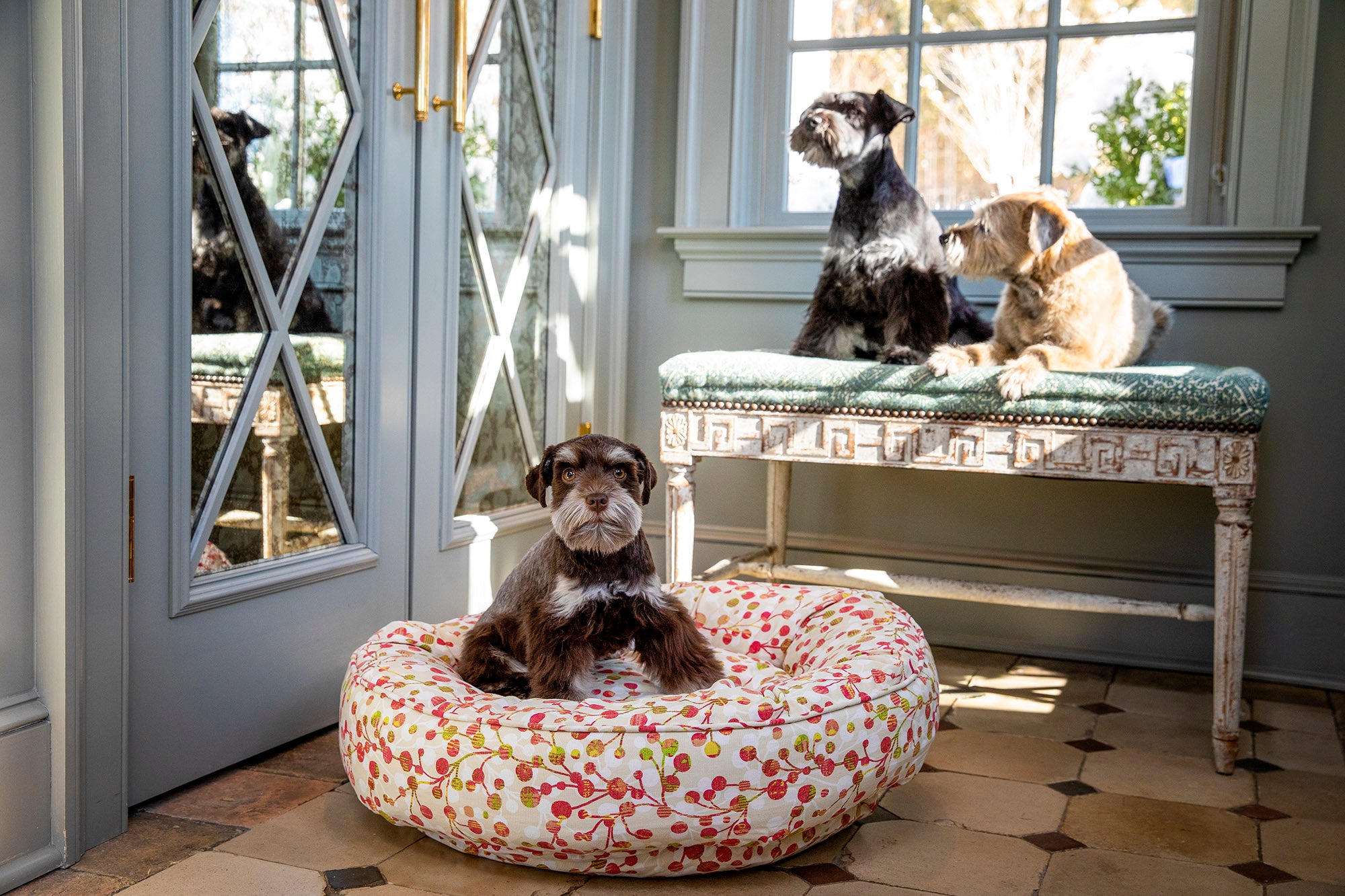 Canine Styles - Sherbert - Dog Bed
