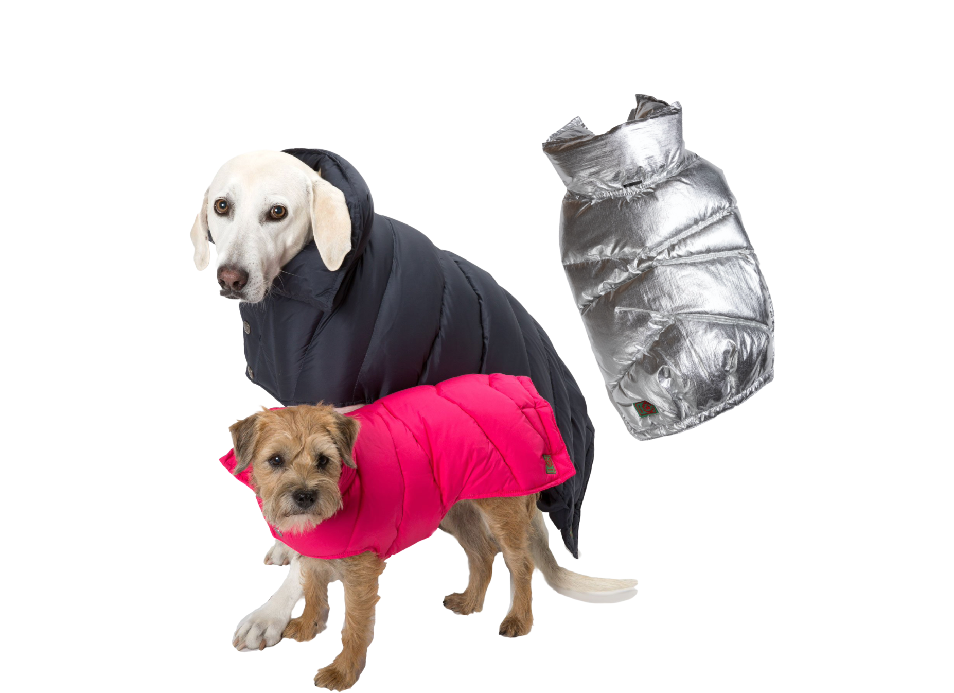Dog down deals coat