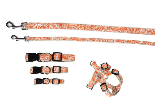 CS Designer Collection - Collar, Harness, & Lead - Curacao Orange