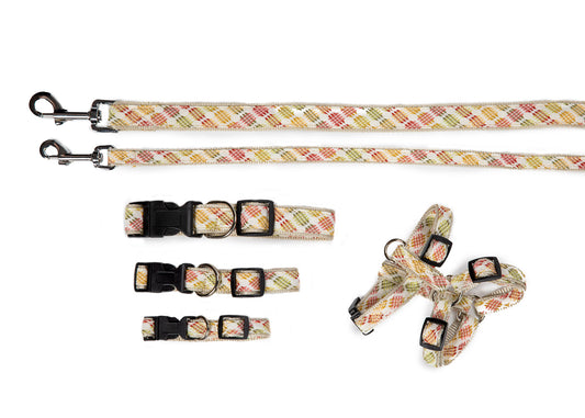 CS Designer Collection - Collar, Harness, & Lead - Fruit Punch Collection