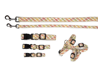 Designer Collection - Collar, Harness, & Lead - Fruit Punch Collection