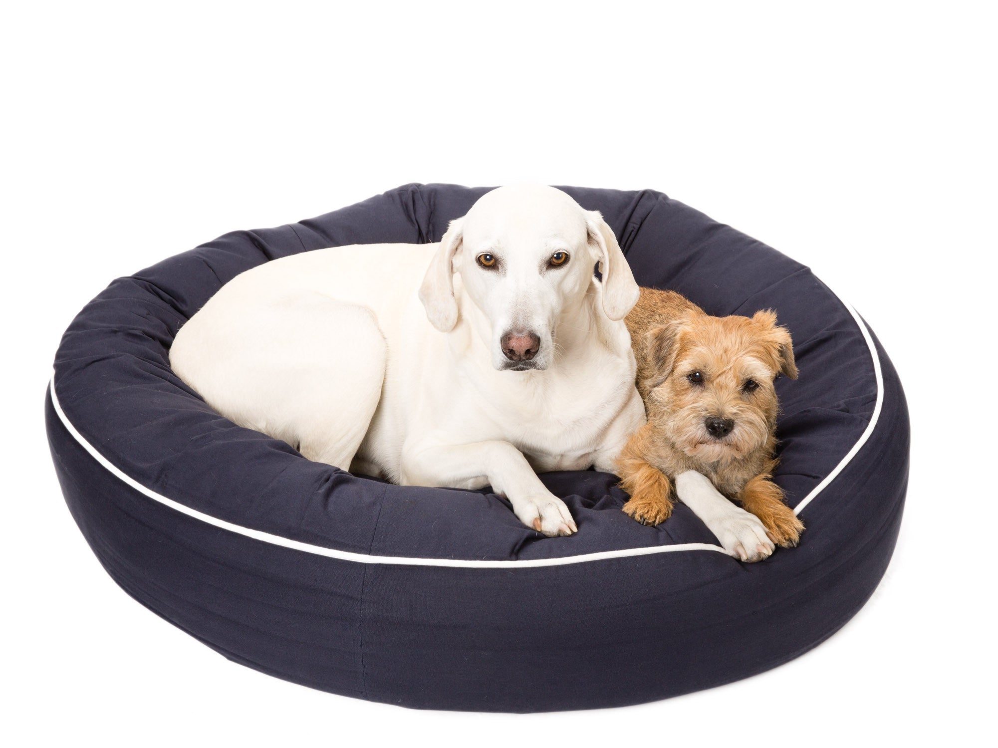 Canine Styles - Cotton Canvas Beds - Solid Colors w/Off White Piping - Dog Beds - 7 Color Options