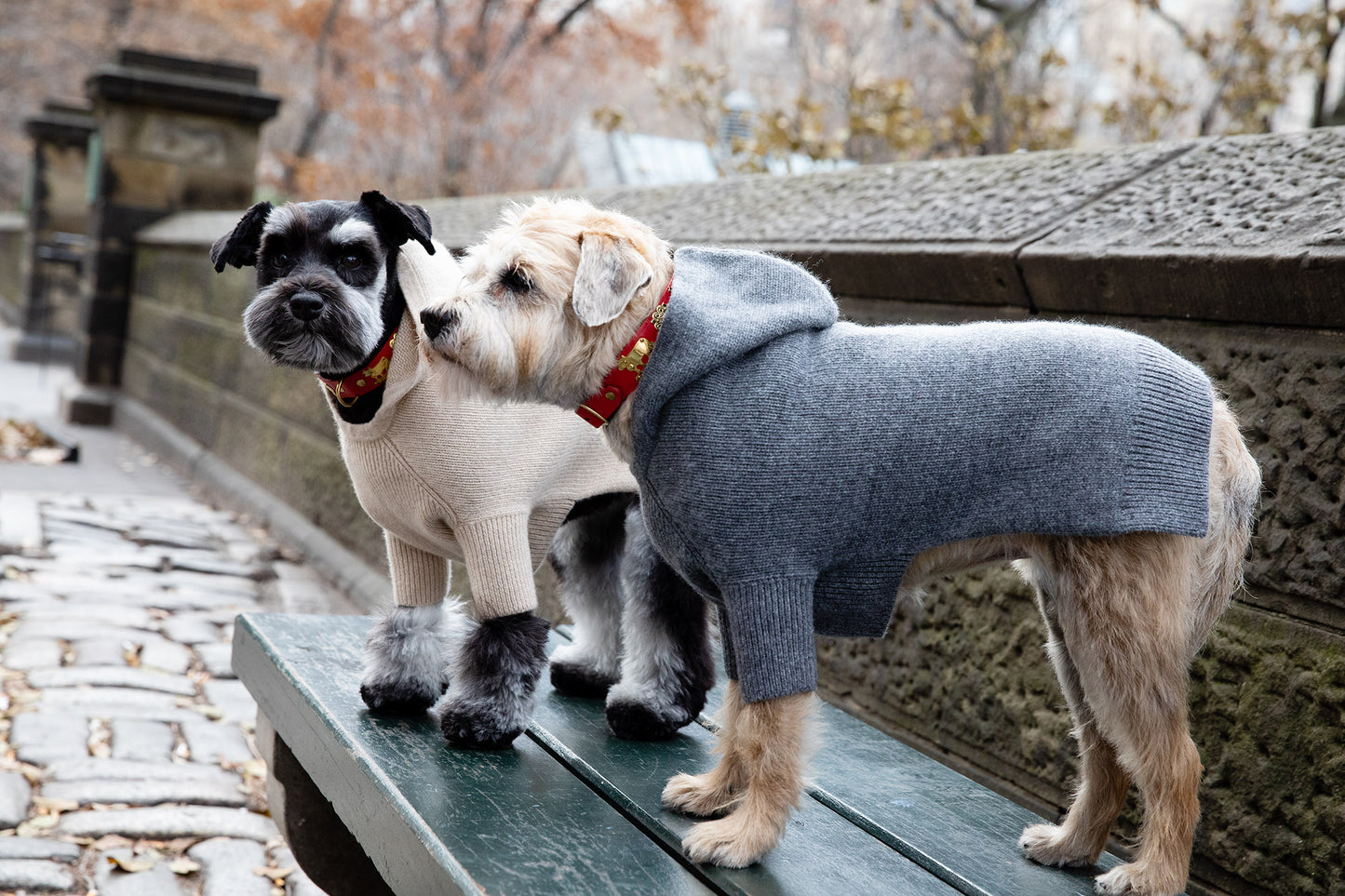 Dog Collars - Original St. Moritz Collar - 3 Color Options
