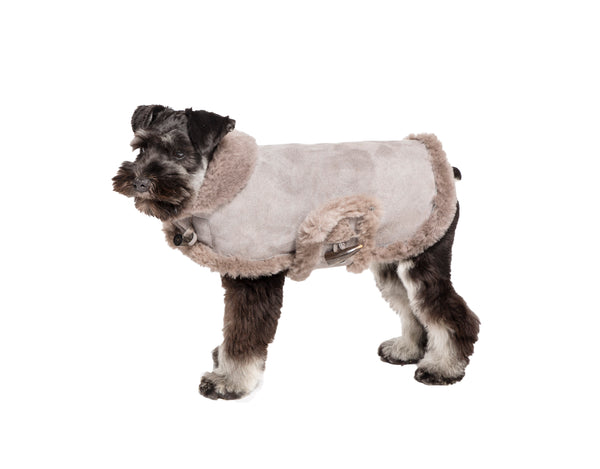 Genuine Shearling Grey Dog Coat