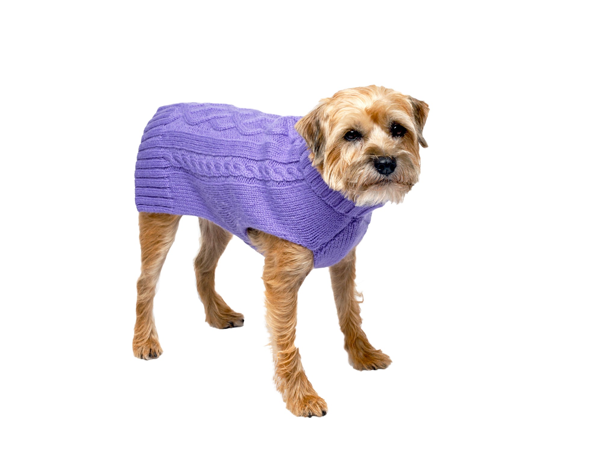 Vineyard Sweater - Wool Dog Sweater - 3 Color Options