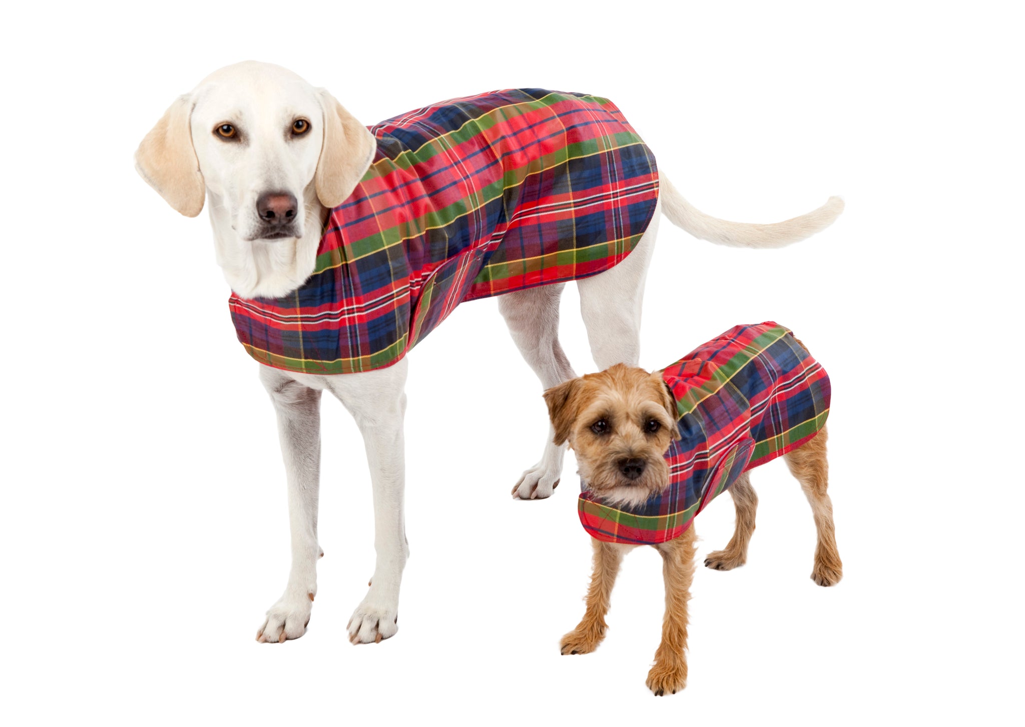 Dog Coat - Raincoat, Waxed Red Tartan