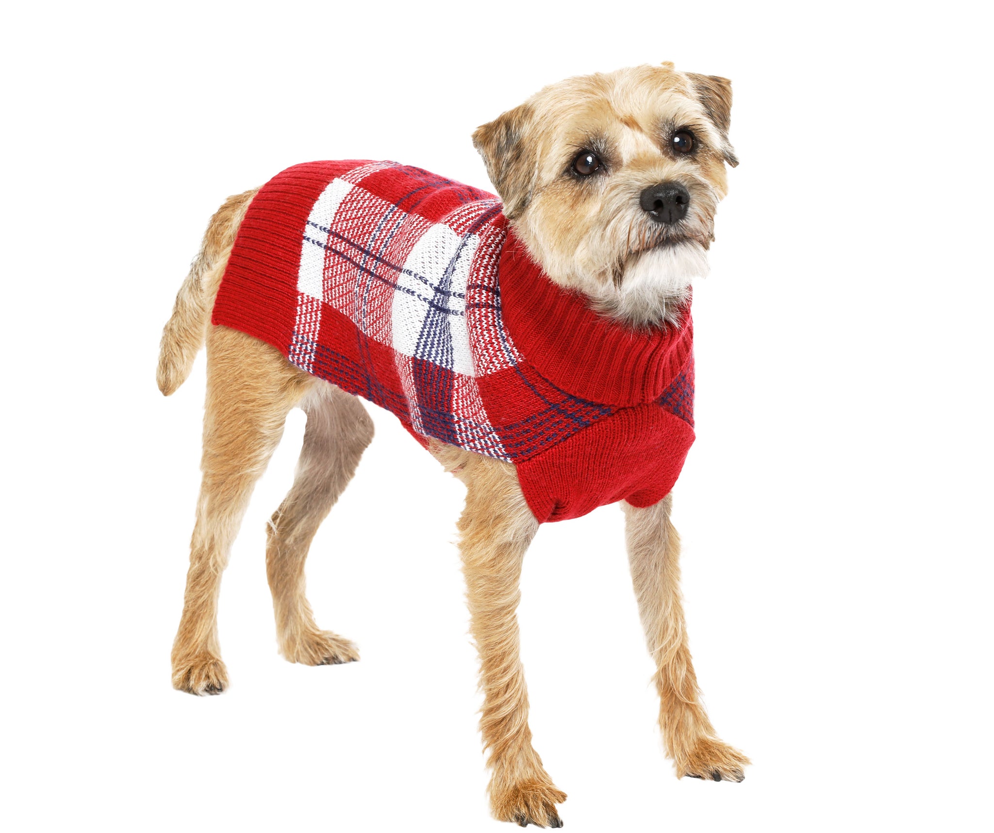 Wool - Blackcomb Plaid Dog Sweaters