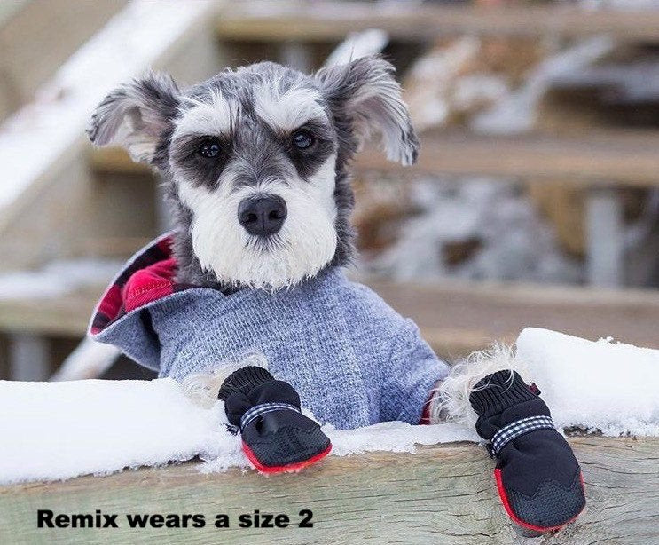 Boots by Poochie - Dog Boot - Protection for Winter & Summer