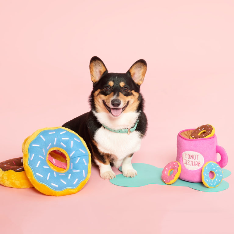 Mini - Sweet Donuts -  Dog Toy