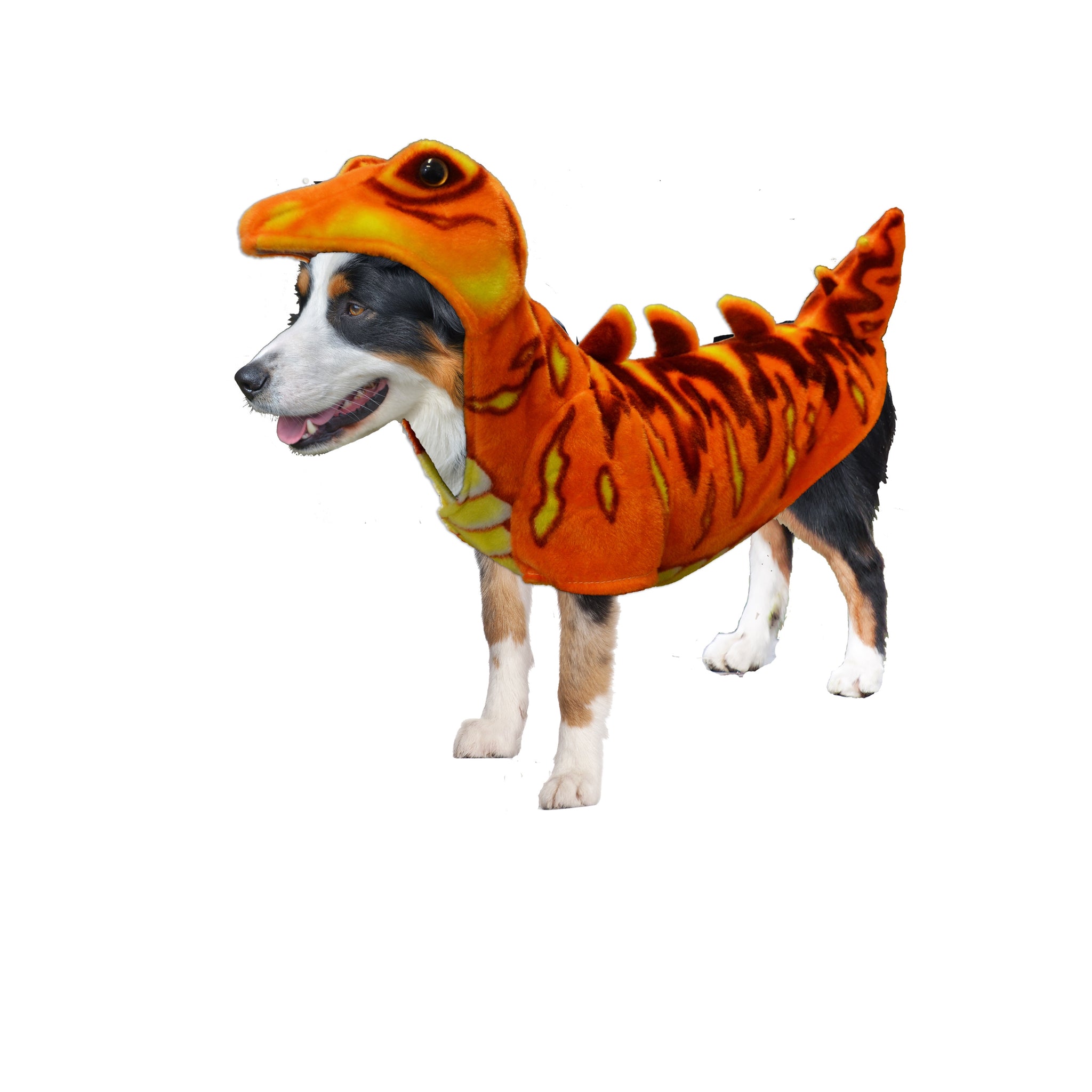 Dog Halloween Costumes | Orange Stegosaurus Dinosaur Costume