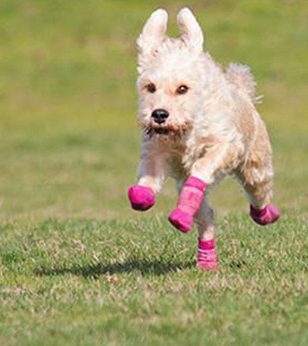 Anti-slip - Sport Boot - Dog Boot - Pink