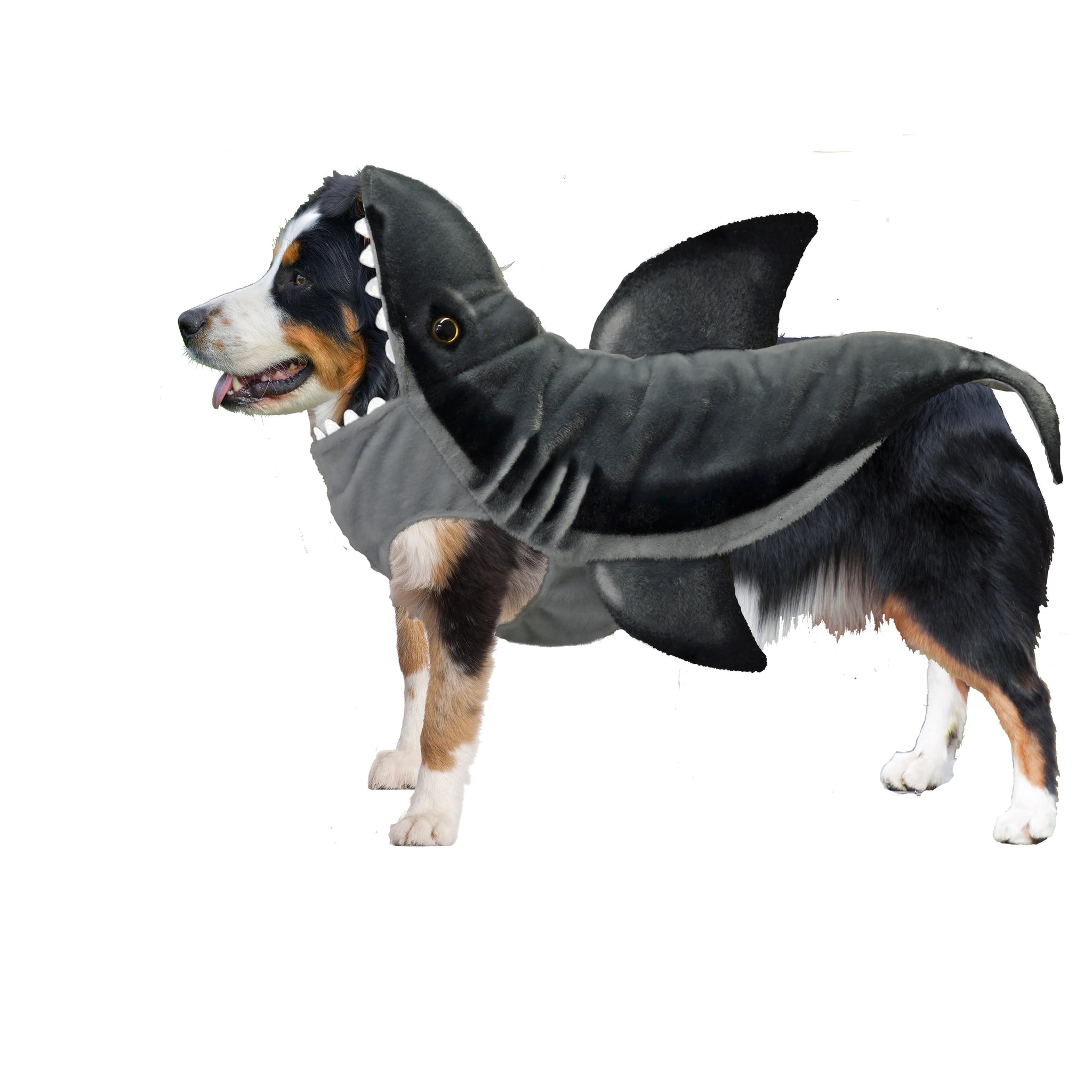 Dog Halloween Costumes | Shark